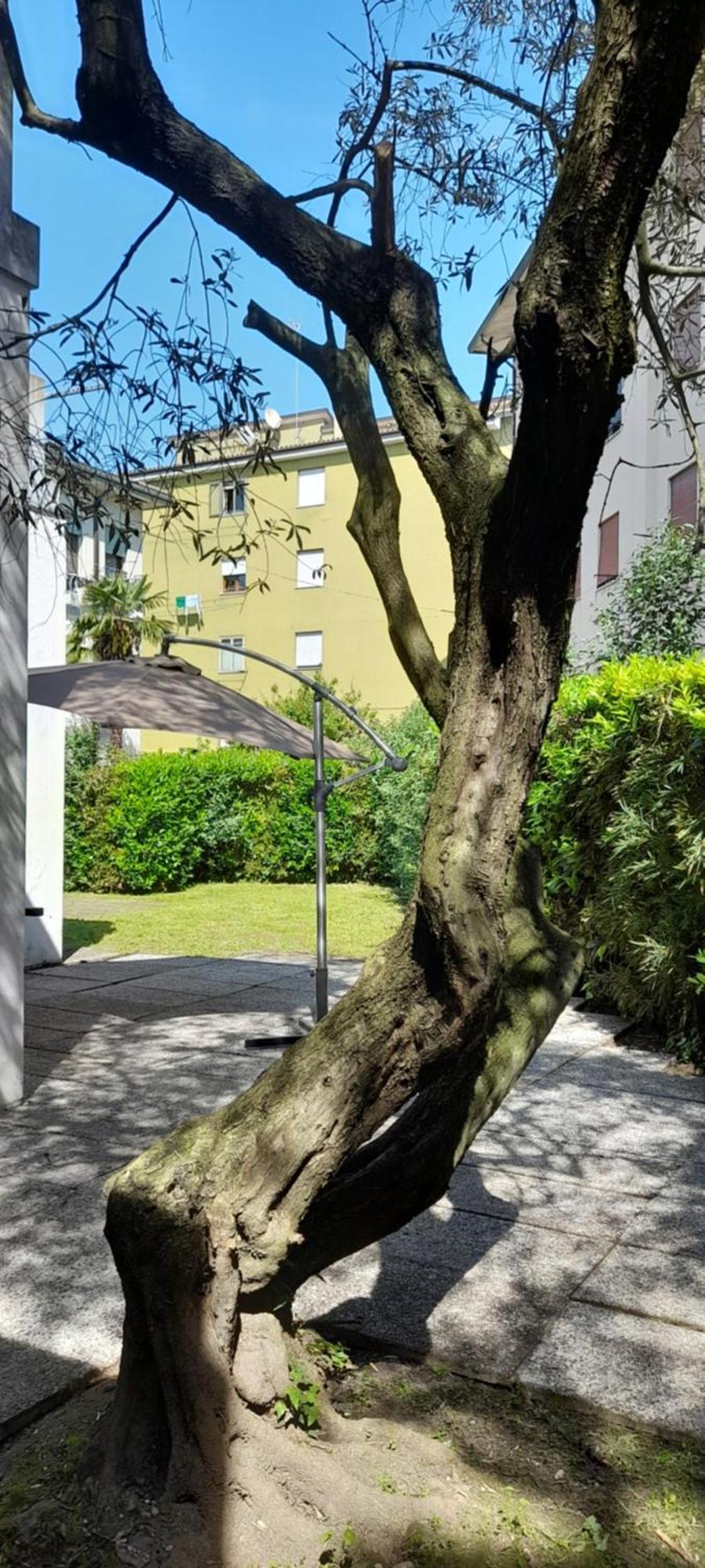 Villa Andrea Mestre Esterno foto